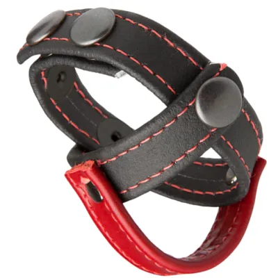 Leather BDSM Sub Presenter Cock Ball Cage