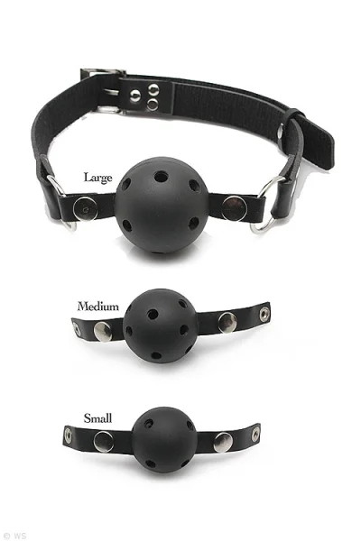 Pipedream Ball Gag Training System
