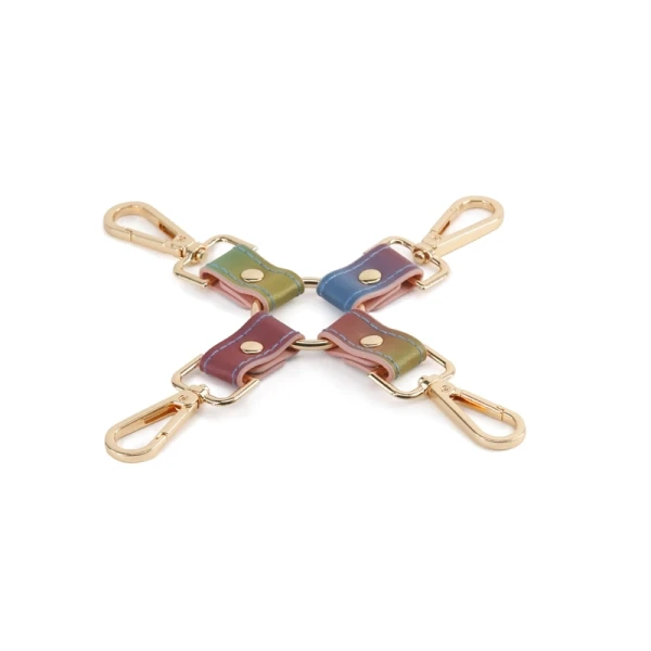 :  Spectra Bondage Hogtie Rainbow