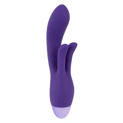 Sweet Smile Rechargeable Rabbit