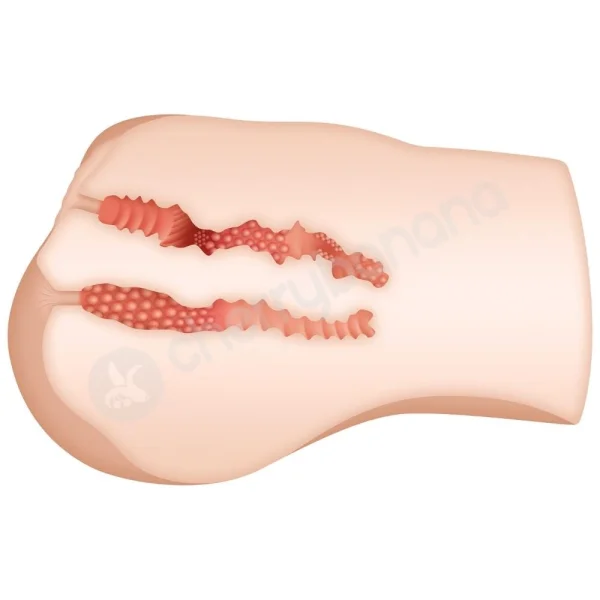 Zero Tolerance Riley Reid Stroker Realistic Flesh Lifesize Body Masturbator With Movie