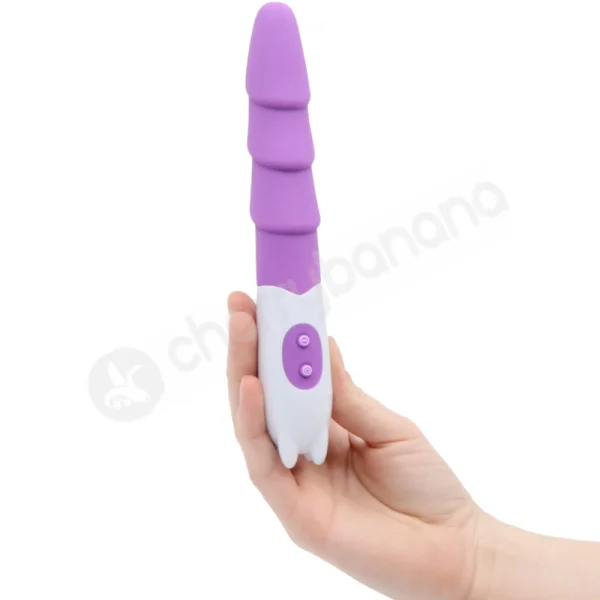 Cherry Banana Purple 10 Speed Ribbed Pleasure Vibrator
