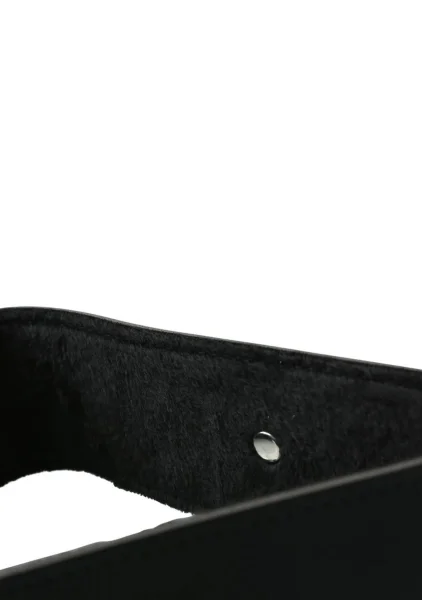 Black Leash and Collar