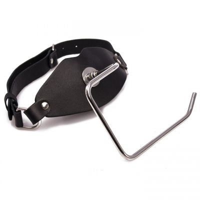 Toilet Slave Paper Dispenser Mouth Gag