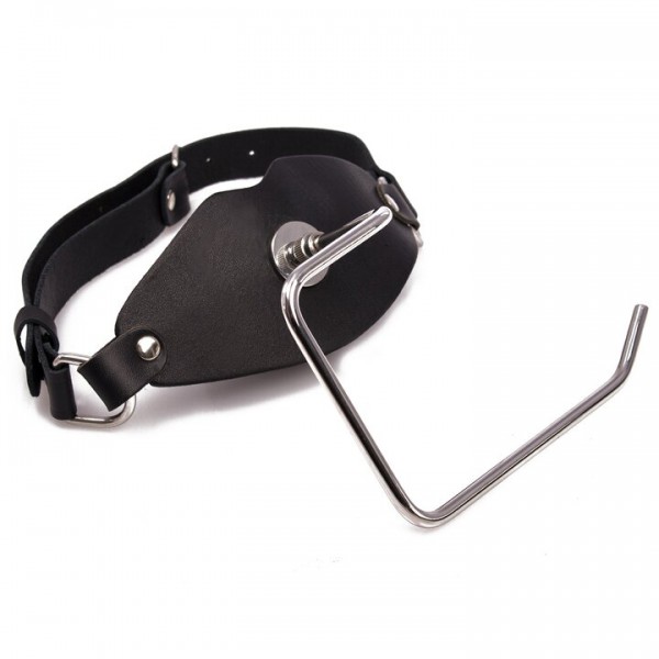 Toilet Slave Paper Dispenser Mouth Gag