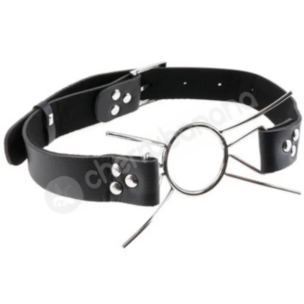 Fetish Fantasy Extreme - Spider Gag