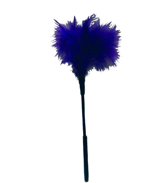 Sportsheets S&M Feather Tickler - Purple — image 4 of 6