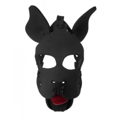 Neoprene Dog Hood With Removable Muzzle Black