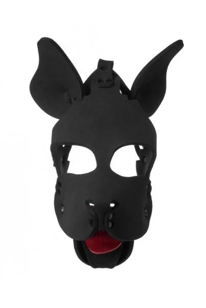 Neoprene Dog Hood With Removable Muzzle Black