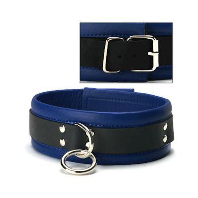 Blue Mid level Leather Collar Blue black