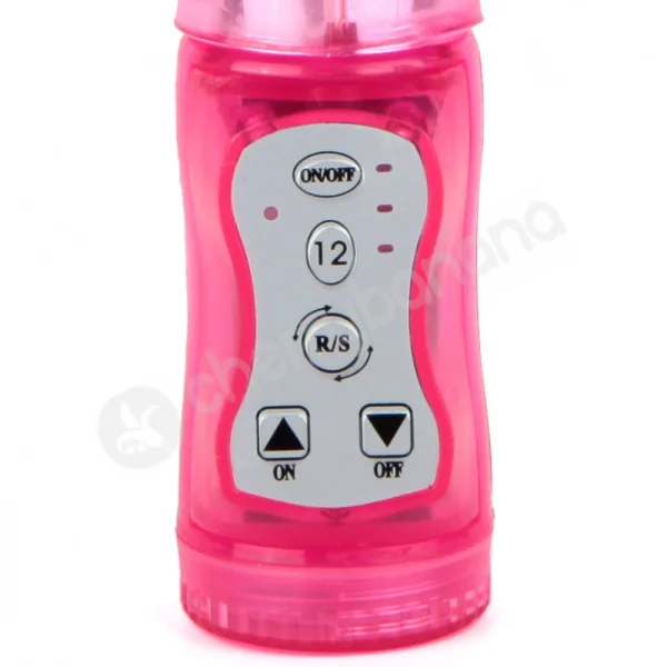 Cherry Banana Wet Dreamer Pink 15 Function Dolphin Vibrator