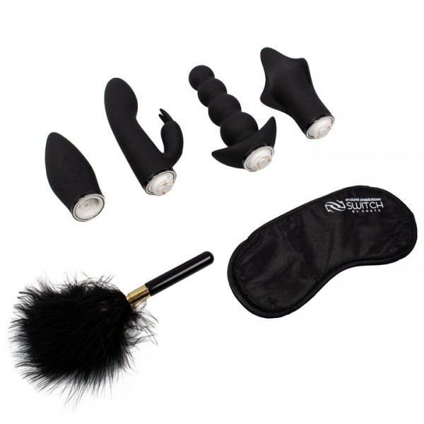 Switch 10 Function Massage Wand Vibrator & Attachment Kit