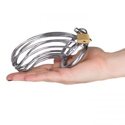 Torment Stainless Steel Birdcage Chastity Cage