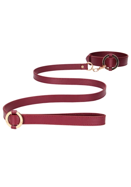 Saffron Leash & Collar
