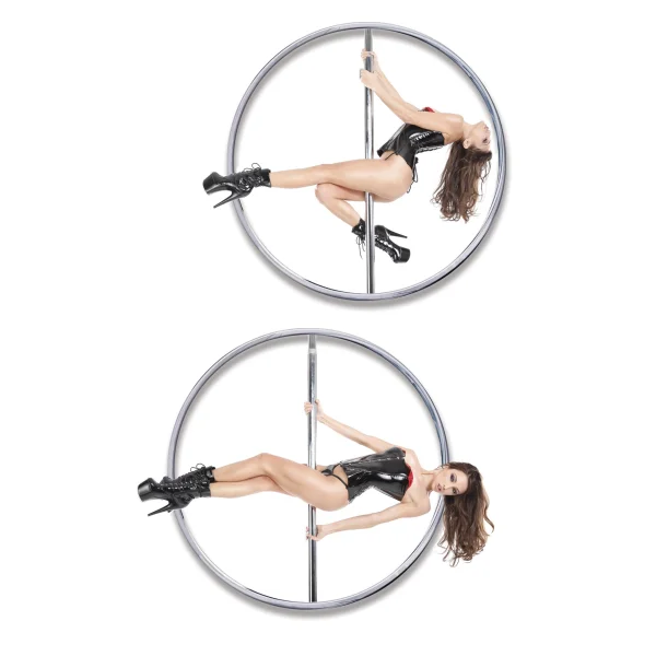 Pipedream Products Fantasy Dance Pole Silver