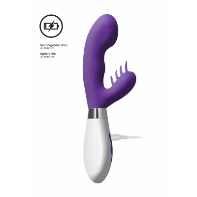 Ares Rechargeable Purple Remote Control Vibrator