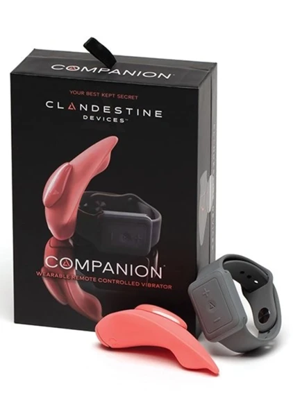 Companion Panty Vibe