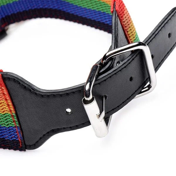 Master Series Kinky Pride Rainbow Bondage 3-Piece Set