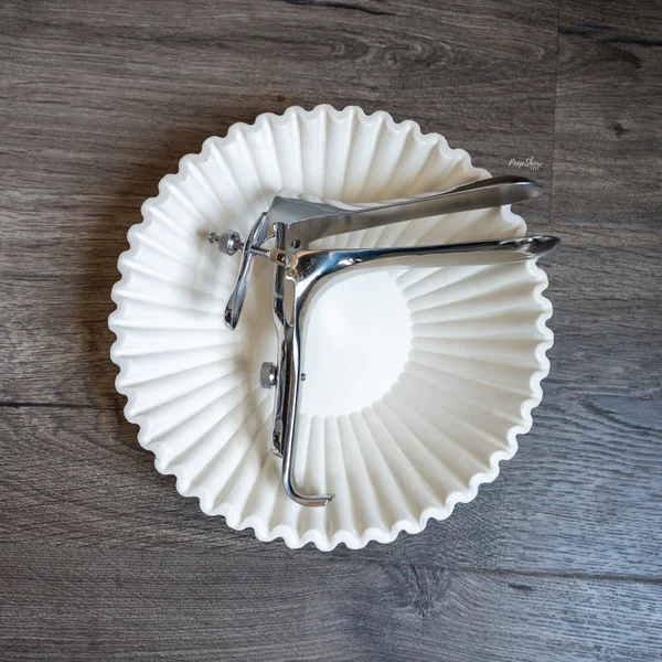 Stainless Steel Vaginal Speculum — image 10 of 16