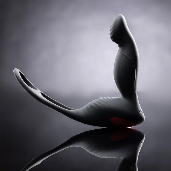 PPD 9-Speed Vibrating Prostate Massager and Cock Ring — image 2 of 12