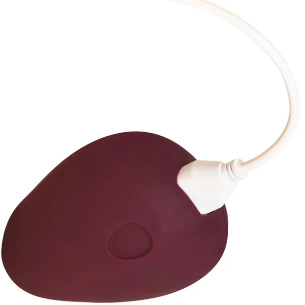 POM Silicone Rechargeable Flexible Waterproof Vibrator by Dame - Plum — image 17 of 20