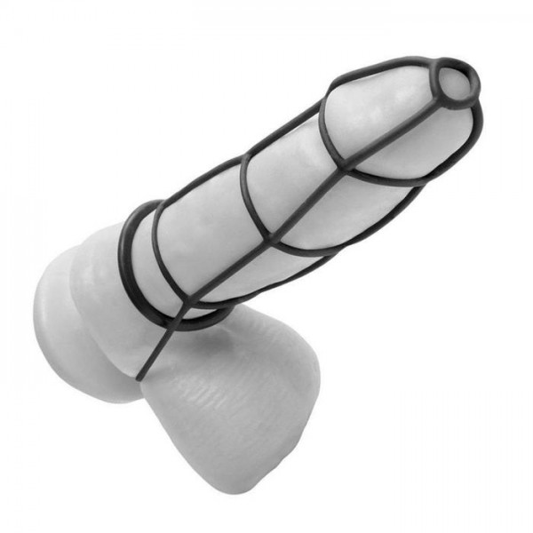 Fetish Fantasy Elite Cock Cage & Ring Set
