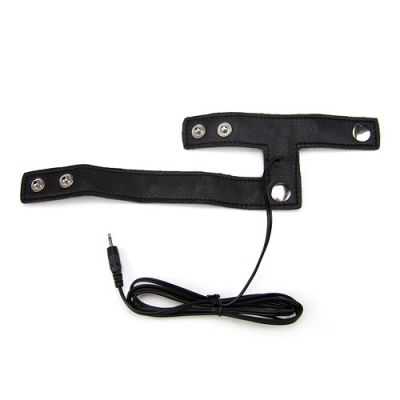 ePlay leather cage
