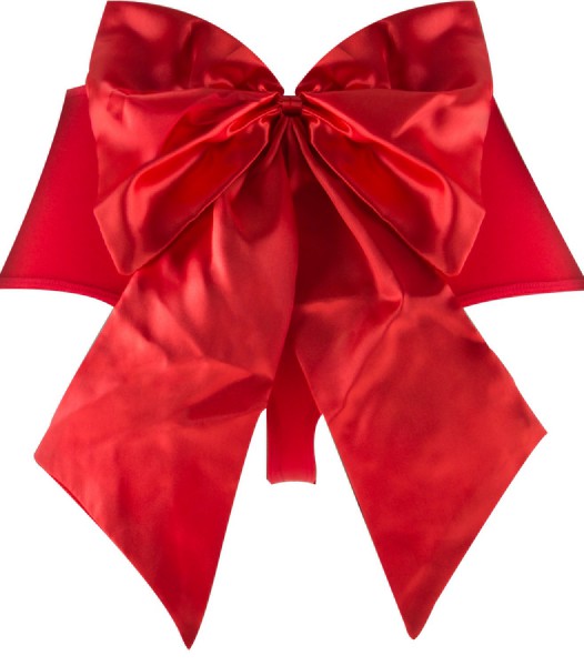 Sexy Bow Vibrating Panty (Red)