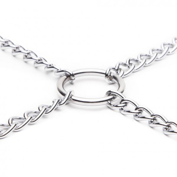 DOMINIX Deluxe Chain Hogtie