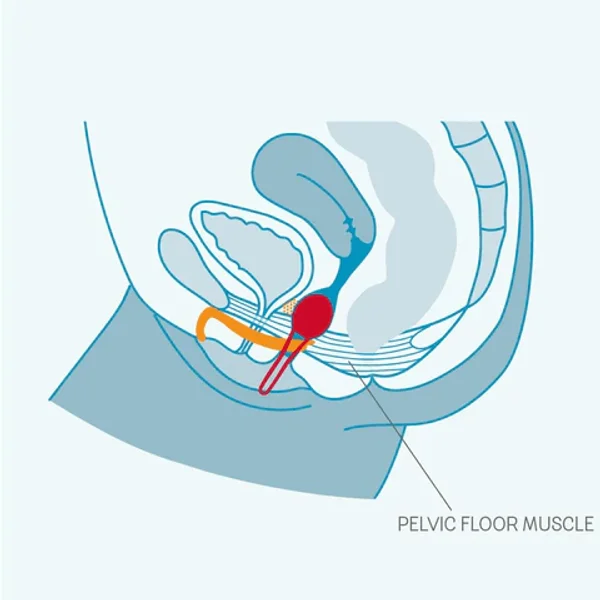 Fun Factory Uno Smartball Kegel Exerciser — image 22 of 22