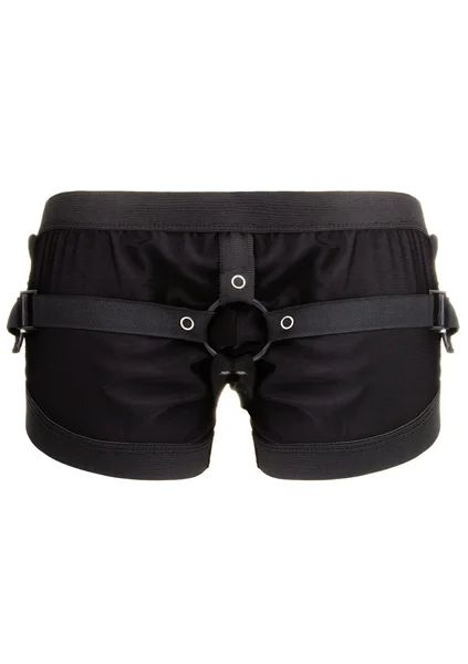 Boxer With Harness — image 7 of 9