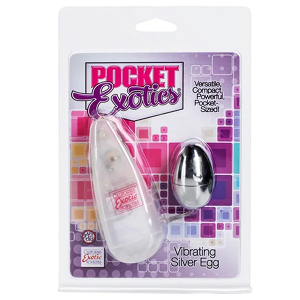 California Exotic Pocket Exotics Vibrating Silver Egg — image 4 of 4