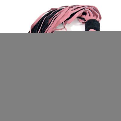 Fulfill a fantasy flogger