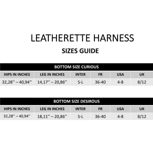 Strap-on-me Leatherette Harness Curious — image 7 of 10