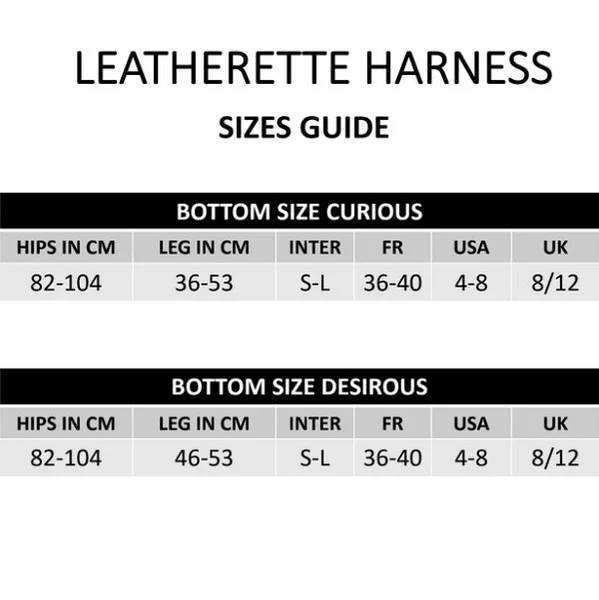 Strap-on-me Leatherette Harness Curious — image 6 of 10