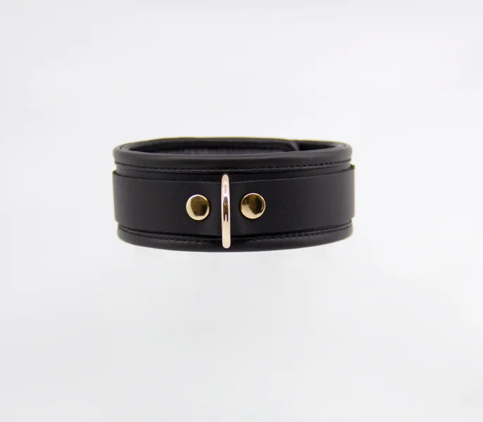 COL048 Leather Collar With Coloured Hardware — image 2 of 10