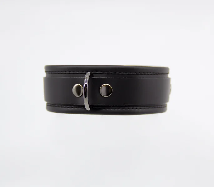 COL048 Leather Collar With Coloured Hardware — image 5 of 10