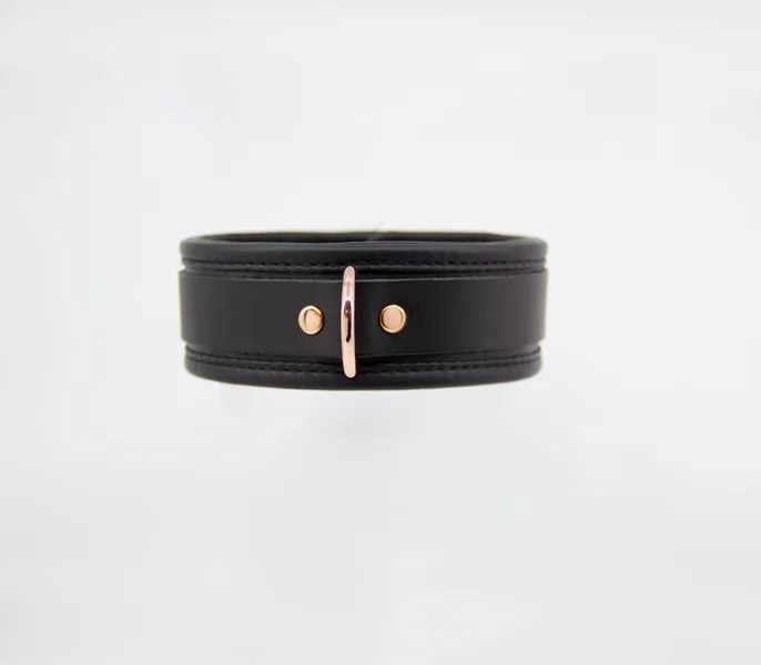 COL048 Leather Collar With Coloured Hardware — image 8 of 10