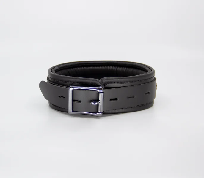COL048 Leather Collar With Coloured Hardware — image 6 of 10