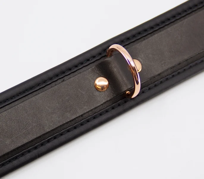 COL048 Leather Collar With Coloured Hardware — image 10 of 10