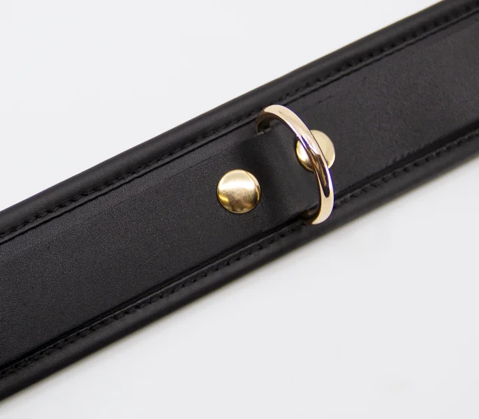 COL048 Leather Collar With Coloured Hardware — image 4 of 10
