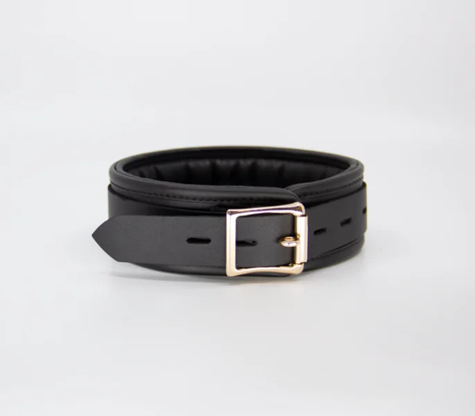 COL048 Leather Collar With Coloured Hardware — image 3 of 10