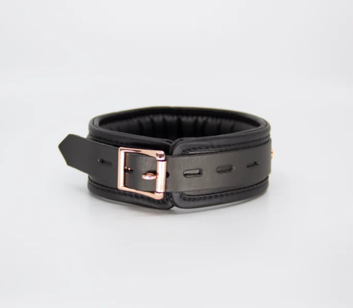 COL048 Leather Collar With Coloured Hardware — image 9 of 10