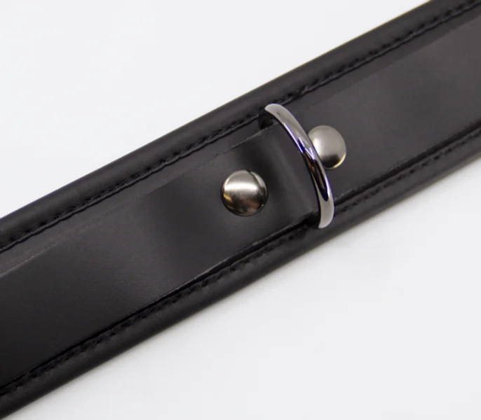 COL048 Leather Collar With Coloured Hardware — image 7 of 10