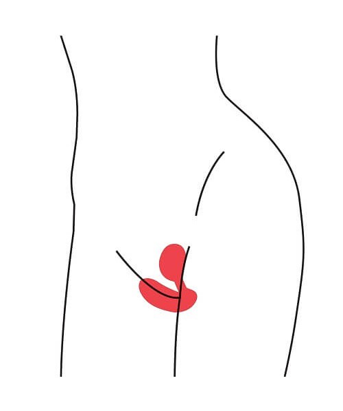Aneros Vivi Vibrating Kegel Exerciser
