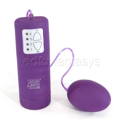 Waterproof pocket exotics egg