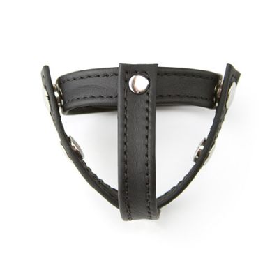 Leather ball divider