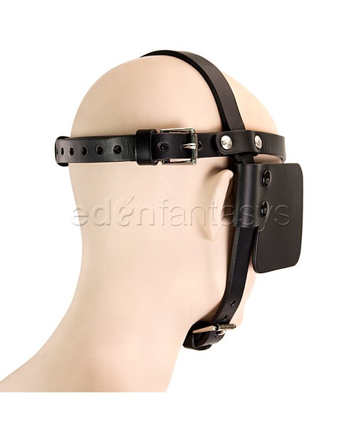 Scalloped brow pony bridle