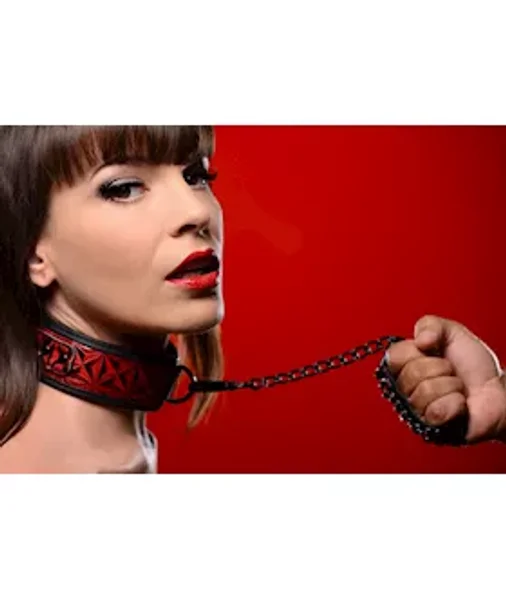 Crimson Tied Collar With Leash — image 6 of 8