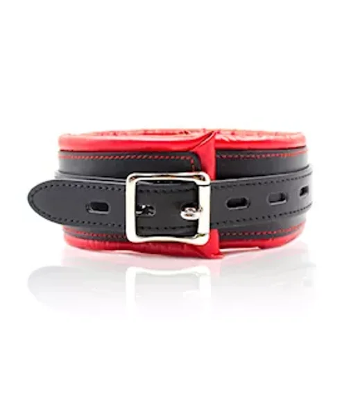 Soft Padded Collar And Leash — image 4 of 4